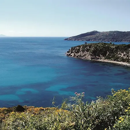 Golfo Della *