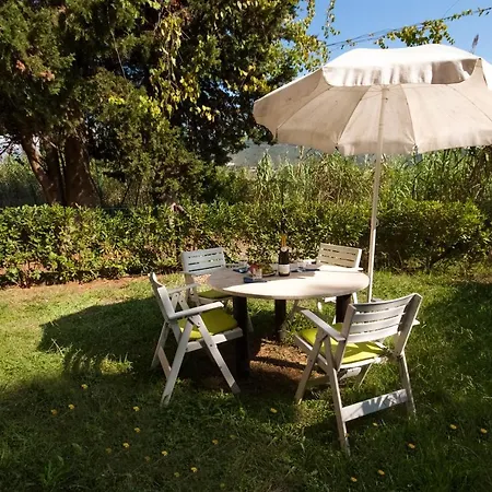 Apartment Golfo Della *